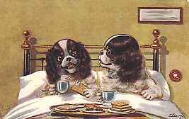 picture of two dogs having breakfast in bed