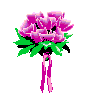 pink bouquet graphic