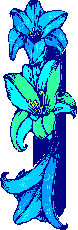 border graphic of blue lilies