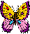 graphic of a multi-colored butterfly